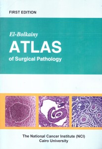 atlas-front